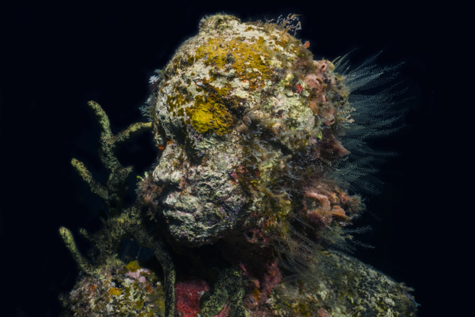 Jason deCaires Taylor: Sualtının Sanatçısı