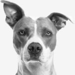 İlhan kullanıcısının profil fotoğrafı